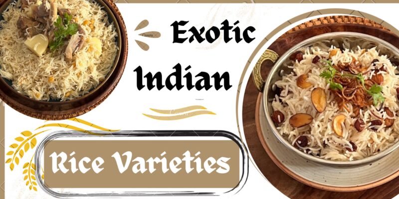 EXOTIC INDIAN RICE VARIETIES